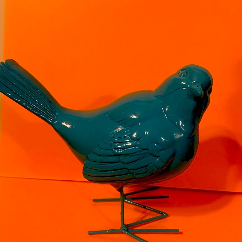 Blue Bird - Picture 2 of 6